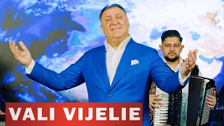 Vali Vijelie ❌ Baboiash - Masina timpului (Melodii de Petrecere) 2023 - 2024