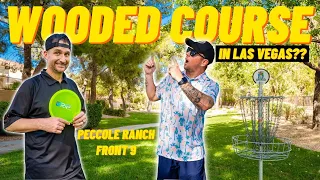 We Found a Wooded Disc Golf Course in the Middle of Las Vegas | Front 9