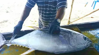 Giant Bluefin Tuna Fish Cutting Videos | Amazing Cutting Skills | Tuna Cutting In Maldives | 100$