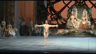 Sleeping beauty ballet, Prince Desire Variation - Michal Krcmar Principal dancer