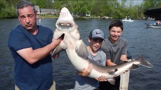 Sturgeon Caught at the Bridge Bar in Fremont, WI