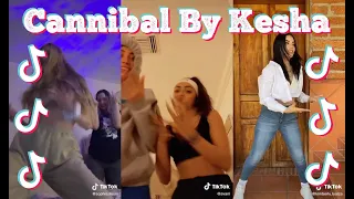 Cannibal By Kesha | 100% IN SYNC TIKTOK COMPILATION