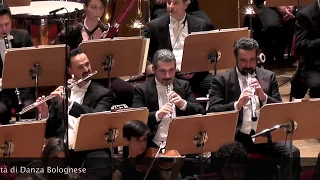 Valzer sul Bel Danubio Blu di Johann Strauss