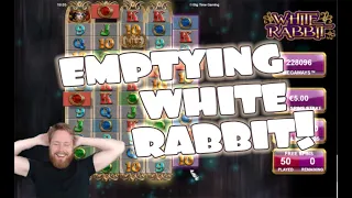 White Rabbit MADNESS!!