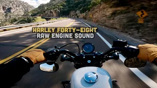 Harley Davidson Forty-Eight 48 Pure Engine Sound [TBR 2 into 1 Exhaust] Episode XIII