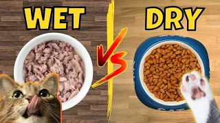 Wet vs. Dry Cat Food: Which is Better? (Pros and Cons)