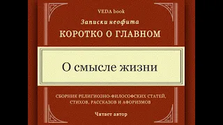 О смысле жизни / Коротко о главном. Философия, религия, мудрость Вед