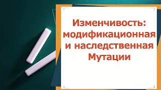 Генетика. Часть 4. Изменчивость: модификационная и наследственная. Мутации, их классификация