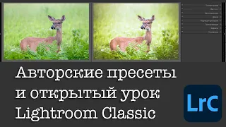 10 пресетов для Lightroom Classic скачать бесплатно, открытый урок и новости