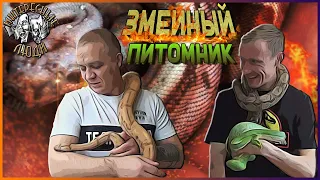 💥Змеиный питомник дома -  опасность или удовольствие? // Интересные Люди💥