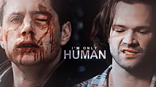 Sam & Dean || Human