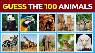 Guess 100 Animals in 5 Seconds | Animal Quiz | Question Answer |