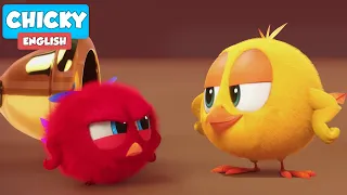 Where's Chicky? Funny Chicky 2021 | THE FIGHT | Chicky Cartoon in English for Kids