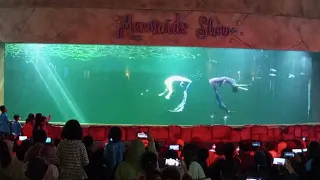 mermaid show(putri duyung) TAMAN IMPIAN JAYA ANCOL