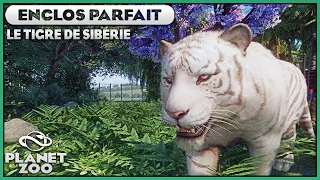 Le Tigre de Sibérie (Leucique/Albinos/Mélanique) | LES ENCLOS PARFAITS : EPISODE 94 | PLANET ZOO