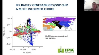 A/Prof Ken Chalmers Multiple genome assemblies reveal alien introgressions and alternative halotypes