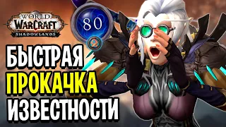 Как БЫСТРО Прокачать Известность в Патче 9.1.5 - WoW: Shadowlands