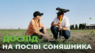 Випуск № 7. Дослід на посіві соняшника