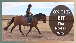 Dressage Training | Getting Your Horse Forward And On The Bit