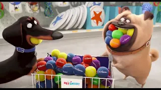 PetSmart TV Commercial, 'The Secret Life of Pets'