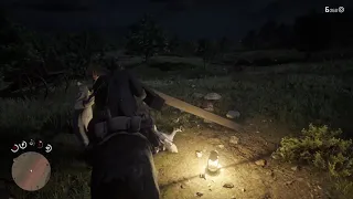 Red Dead Redemption 2 FUNNY horse FAILS