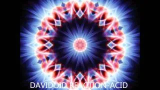 DAVIDOID-REACTION-ACID TRIBE CORE