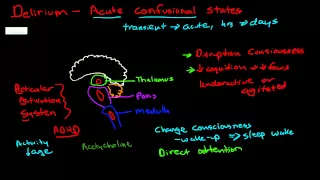 Pathophysiology of delirium