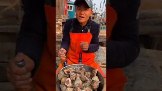 Amazing Eat Seafood Lobster, Crab, Octopus, Giant Snail, Precious Seafood🦐🦀🦑Funny Moments 9