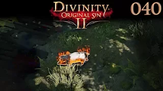 Divinity 2 #040 Die brennenden Schweine ⚔️ Let's Play Divinity Original Sin 2 Deutsch