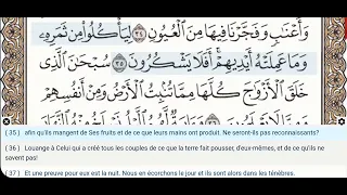 36 - Sourate Yasin (Yaseen) - Dr Ayman Suwayd - Enseignant - Apprendre le Coran Tajweed