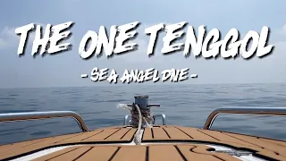 The One Tenggol 天鵝島 | Sea Angel Dive | Love and Freedom