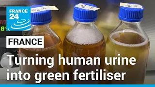 Recycling human urine: French start-up hopes to kick-start green farming revolution • FRANCE 24