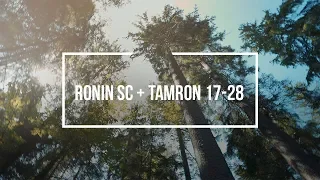 DJI Ronin SC + Tamron 17-28 2.8 + Sony A7 III - Balancing, Settings & Test Footage in 4K