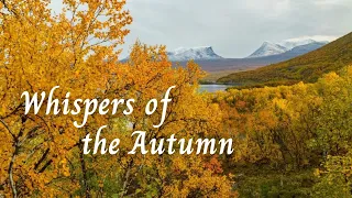 Whispers of the Autumn - Soothing Autumn Melody, Mindful and Peaceful Guitar for Relaxation