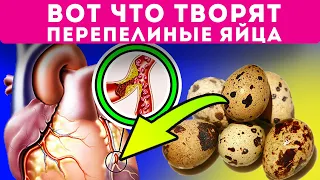 Что творят перепелиные яйца! Вся правда о перепелиных яичках