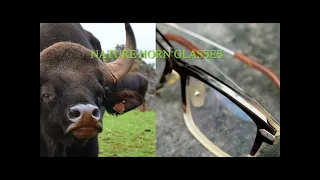 How to make buffalo horn glasses?