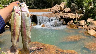 EXPLORING and FISHING a Mountain Stream for Trout! (Canyon Creek AZ)