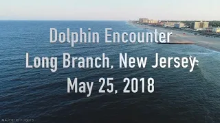 Dolphin Encounter, Long Branch New Jersey