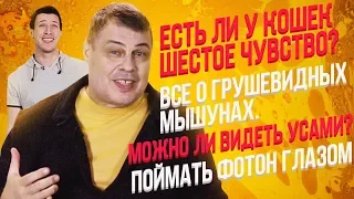 01 || Есть ли у кошек 6-е чувство || Затевахин о Животных