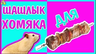 DIY ХОМО - ШАШЛЫК для ХОМЯКА / как сделать magic ШАШЛЫК для питомца / ХОМКИ / Алиса Изи pets