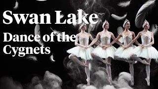 Swan Lake - Dance of the Cygnets