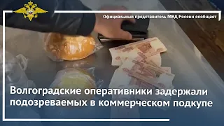 Ирина Волк: Волгоградские оперативники задержали подозреваемых в коммерческом подкупе