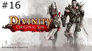 Divinity: Original Sin Enhanced Edition. Полное прохождение. Серия №16