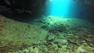 Diving Sheraton Caverns - Kauai