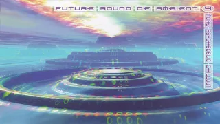 V.A. - The Future Sound Of Ambient Vol. 4 | Full Mix