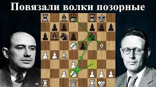 Илья Кан громит в 13 ходов Ботвинника гамбитом Эванса! ♟ Шахматы