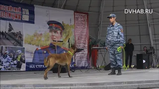 Полиция устроила шоу в центре города в честь юбилея структуры