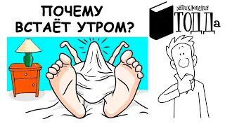 ПОЧЕМУ СТОИТ ПО УТРАМ (УТРЕННИЙ СТОЯК)