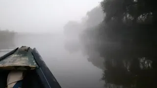 Delta dunarii (Crisan) Danube Delta