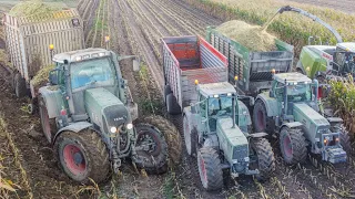 WTOPAx2! Koszenie Kukurydzy z UR SYLWESTRZUK w Ciężkich Warunkach! [3xFendt, Claas] Boguc AgroTV